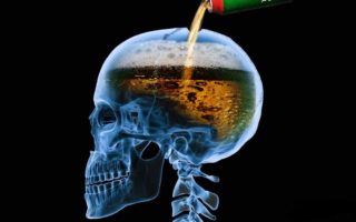 Алкоголем по мозгам или как водка растворяет ваш мозг